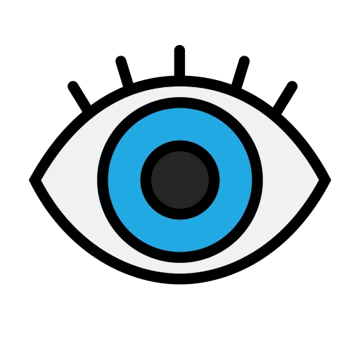 vision
